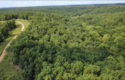 632 Private Road 421-35, West Plains, MO 65775