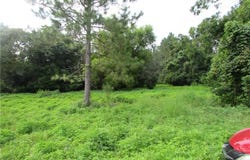 3780 84 E Highway, Blackshear, GA 31516