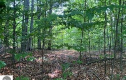 # 8 MOONEY WAY, KEWADIN, MI 49648