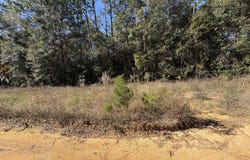 431 Brett Avenue, Interlachen, FL 32148