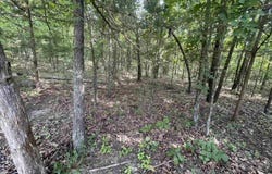 743 The Day Road, Ash Flat, AR 72513