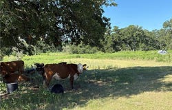 14393 County Road 228, Bedias, TX 77831