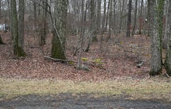 Oakenshield Drive, Tamiment, PA 18371