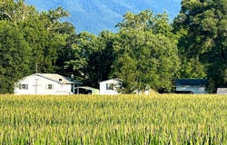 550 & 560 ROHRBAUGH LANE, MOOREFIELD, WV 26836