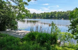 1950 Lake Dunmore Road, Salisbury, VT 05769