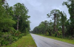 491 Pineland Trail, Ormond Beach, FL 32174