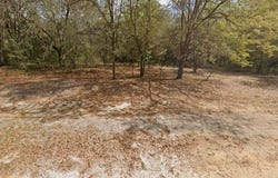 MARION AVENUE, INTERLACHEN, FL 32148