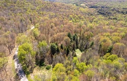 Hathaway Pond Rd, Hancock, NY 13783