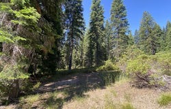 3-G-14 Elk Springs Ct, McCloud, CA 96057