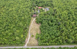 2599 Shady Ln, Boston, KY 40107