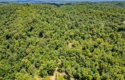 2291 Blankey Branch Road, Beattyville, KY 41311
