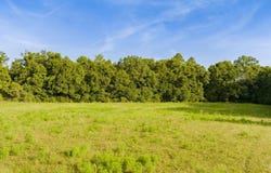 00 Cobbtown Rd, Jay, FL 32565