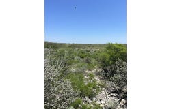 3 Buck, Del Rio, TX 78840