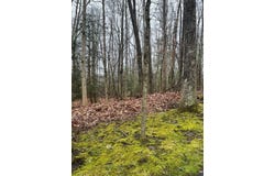 Timber Ridge Drive, BECKLEY, WV 25801