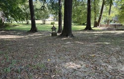 802 Bizzarre, Farmville, VA 23901