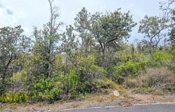 Ocean View, HI 96737