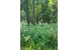 5395 Eastport Dock Rd, MONROE, TN 38573