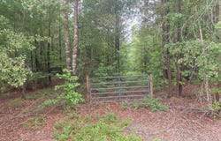 0 State Route 240, Ideal, GA 31041