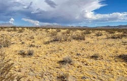 0 EMERALD ROAD.,, Barstow, CA 92311