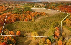 1330 EDEN HILL ROAD, BENZONIA TWP, MI 49617
