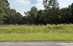 Lot 1 Robbie Drive, Whitwell, TN 37397