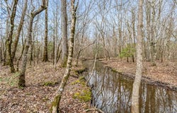 County rd 12, Carrollton, AL 35447