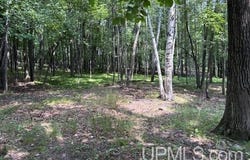 TBD E H, Iron Mountain, MI 49801