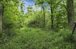 0 Keystone Furnace Road, Jackson, OH 45640