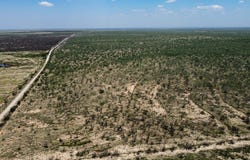 7943 County Road 1329 lot: Ab 906, Paint Rock, TX 76866