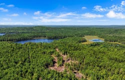 M9L45 NE NE Bluff Lane, Beddington, ME 04622