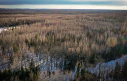 TBD Parcel S Thomas Road, Tower, MN 55790
