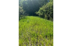 Tbd County 29, Browerville, MN 56438