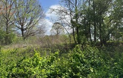 LOT 24 Stonington Drive, Mount Airy, GA 30563