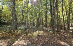 128 Kipling Lane, Albrightsville, PA 18210