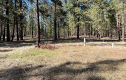 TBD LOT 1 DENTON DR, KETTLE FALLS, WA 99141