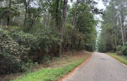 Cemetery Road, Tylertown, MS 39667
