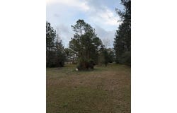 19 George Wise Road, Carriere, MS 39466