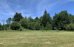 171 Mask LN, Toutle, WA 98649