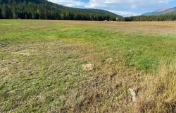 2398 PINE CREEK ROAD, Yaak, MT 59935