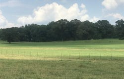 6 Hawthorn Way, Trinity, AL 35673