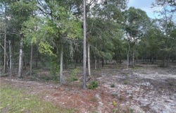1 Spring Grove Road, Jesup, GA 31545