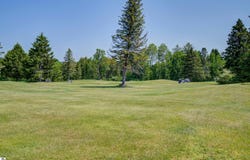 6022 HOLT ROAD, WILLIAMSBURG, MI 49690