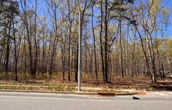 Newark Avenue, Forked River, NJ 08731