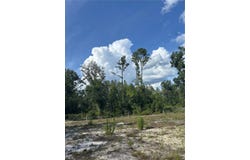 NW 30TH STREET, BELL, FL 32619