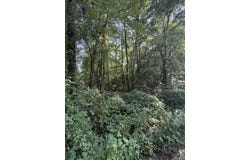 E Graham Road, Iuka, MS 38852