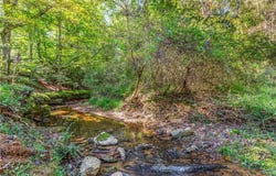 E Main Street, Elkin, NC 28621