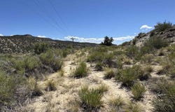 TBD Road G, Cortez, CO 81321