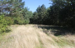 193 Golding Road, Perry, ME 04667