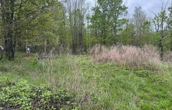 174 Burnett Lane, Gillett, PA 16925