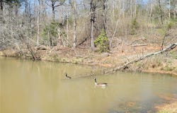 205 Jim Patterson Road, Kings Mountain, NC 28086